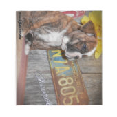 Bulldog Editor für Bull-Liebe Notizblock (Vorderseite)