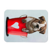 Bulldog-Eimer, Liebe rot 2 Magnet (Horizontal)