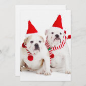 Bulldog Elves (Vorne/Hinten)