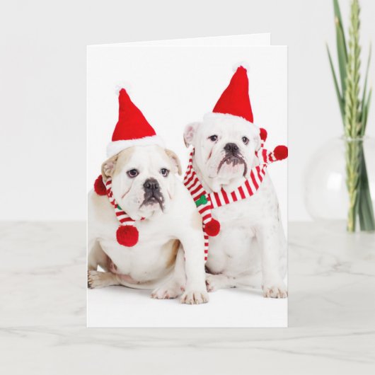 Bulldog Elves Feiertagskarte (Vorderseite)