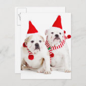 Bulldog Elves Postkarte (Vorne/Hinten)