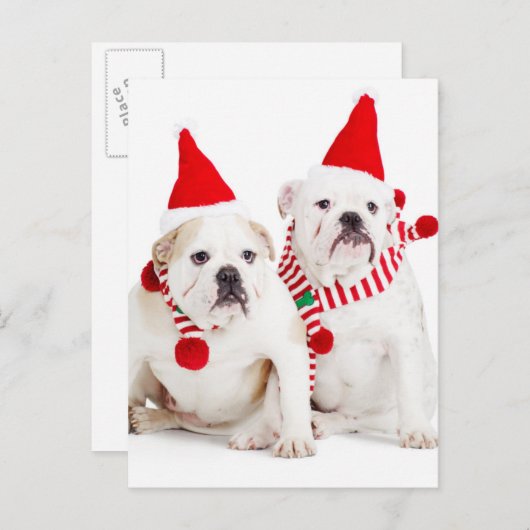 Bulldog Elves Postkarte (Vorne/Hinten)