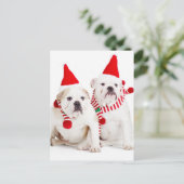 Bulldog Elves Postkarte (Stehend Vorderseite)