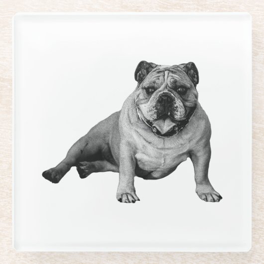 Bulldog Entspannungsmoment Glasuntersetzer (Vorderseite)