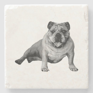 Bulldog Entspannungsmoment Steinuntersetzer