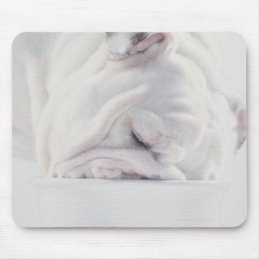 Bulldog essen mousepad (Vorne)