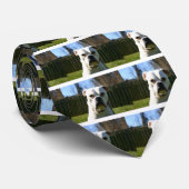 Bulldog Face Krawatte (Gerollt)
