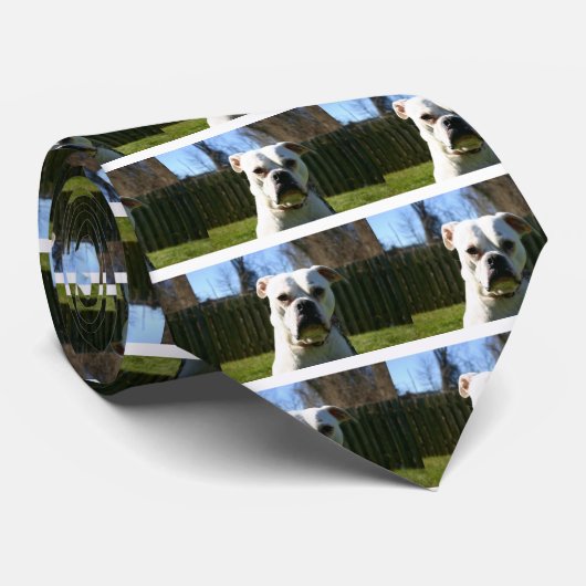 Bulldog Face Krawatte (Gerollt)