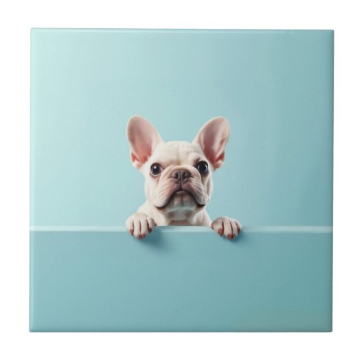 Bulldog Fliese (Vorderseite)