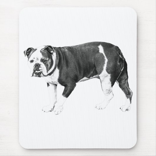 Bulldog-Fokus, Stete Kunst Mousepad (Vorne)