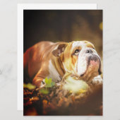 Bulldog-Foto Menükarte (Vorne/Hinten)