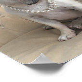 Bulldog-Fotos Poster (Ecke)