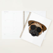 Bulldog-Freak Planer (Anzeige)