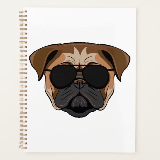 Bulldog-Freak Planer (Vorderseite)