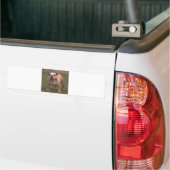Bulldog gefüllt 2 autoaufkleber (Auf Lkw)