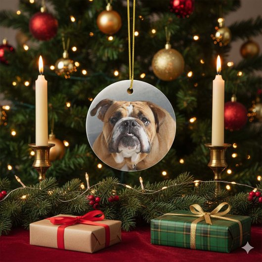 Bulldog-Gesicht - English Bulldog, Brown Keramik Ornament