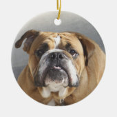 Bulldog-Gesicht - English Bulldog, Brown Keramik Ornament (Vorne)