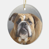 Bulldog-Gesicht - English Bulldog, Brown Keramik Ornament (Links)