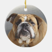 Bulldog-Gesicht - English Bulldog, Brown Keramik Ornament (Hinten)