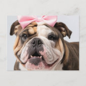 Bulldog-Gesicht mit Bow-Postkarte Postkarte (Vorderseite)