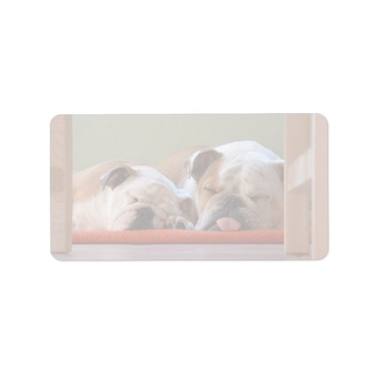 Bulldog-Gruppe schläft Adressaufkleber (Vorne)