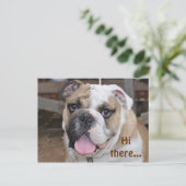 Bulldog "Hi da" Postkarte (Stehend Vorderseite)