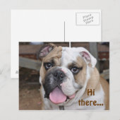 Bulldog "Hi da" Postkarte (Vorne/Hinten)