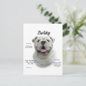 Bulldog-History-Design Postkarte (Stehend Vorderseite)