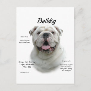 Bulldog-History-Design Postkarte