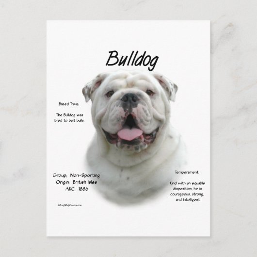 Bulldog-History-Design Postkarte (Vorderseite)