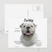 Bulldog-History-Design Postkarte (Vorne/Hinten)
