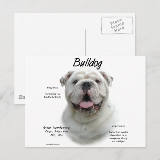 Bulldog-History-Design Postkarte (Vorne/Hinten)