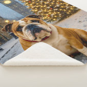 Bulldog Holiday Sherpadecke (3/4)