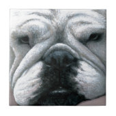 Bulldog-Hund 118 Fliese (Vorderseite)