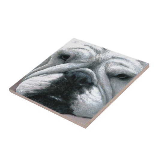 Bulldog-Hund 118 Fliese (Seite)