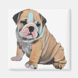 Bulldog-Hund Magnet