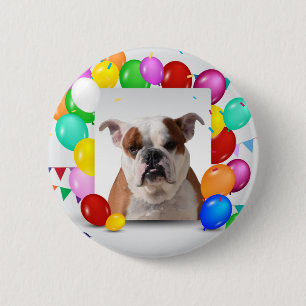 Bulldog Hund mit bunten Balloons Geburtstag Thema Button