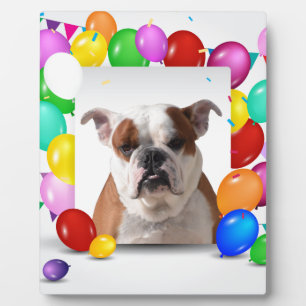 Bulldog Hund mit bunten Balloons Geburtstag Thema Fotoplatte