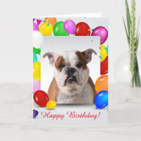 Bulldog Hund mit bunten Balloons Geburtstag Thema