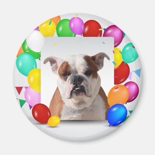 Bulldog Hund mit bunten Balloons Geburtstag Thema Magnet (Vorne)