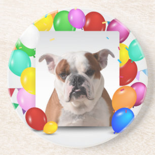 Bulldog Hund mit farbenfrohen Luftballons Geburtst Sandstein Untersetzer