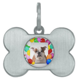 Bulldog Hund mit farbenfrohen Luftballons Geburtst Tiermarke
