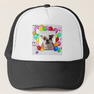 Bulldog Hund mit farbenfrohen Luftballons Geburtst Truckerkappe