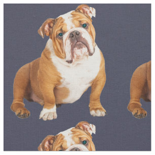 Bulldog Hund Pop Stoff
