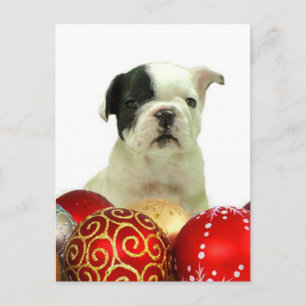 Bulldog-Hündchen Feiertagspostkarte