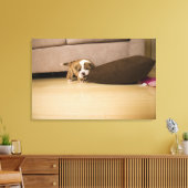 Bulldog Hündchen Leinwanddruck (Insitu (Wohnzimmer))