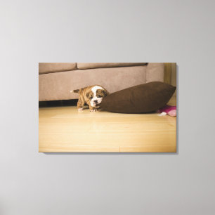 Bulldog Hündchen Leinwanddruck