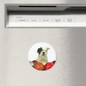 Bulldog-Hündchen Magnet (In Situ (Geschirrspüler))