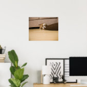 Bulldog Hündchen Poster (Heimbüro)