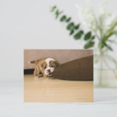 Bulldog Hündchen Postkarte (Stehend Vorderseite)